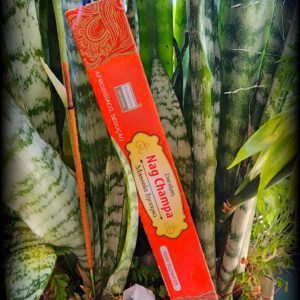 Incenso Nag Champa Indiano Massala - 1000 Flowers