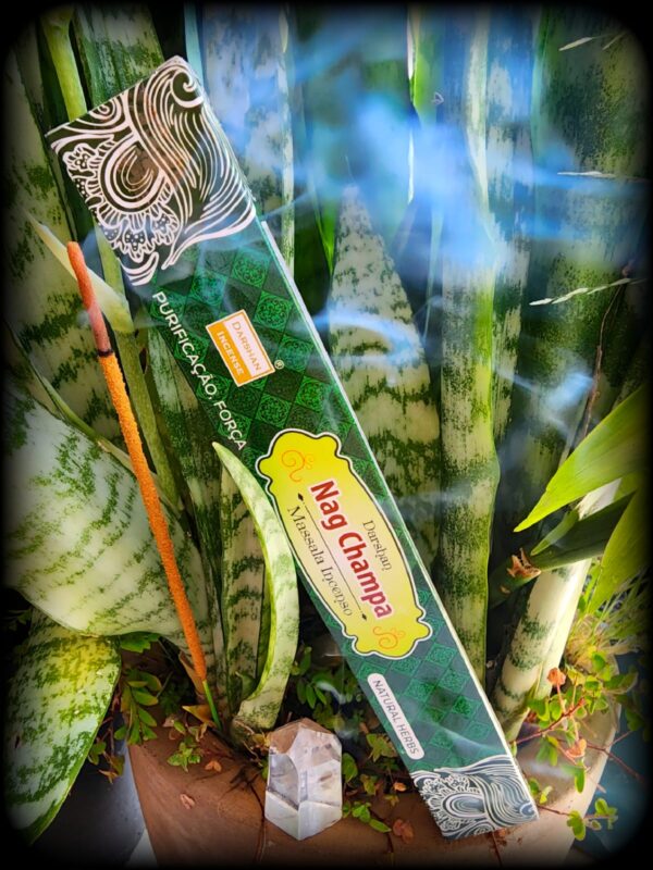Incenso Nag Champa Indiano Massala - Natural Herbs