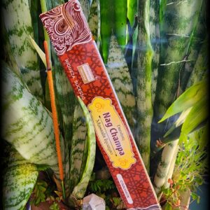 Incenso Nag Champa Indiano Massala - Cinnamon
