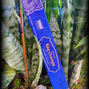 Incenso Nag Champa Indiano Massala - Darshan Blue
