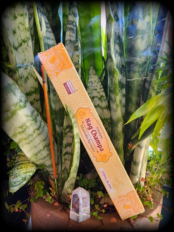 Incenso Nag Champa Indiano Massala - Copal Blanc